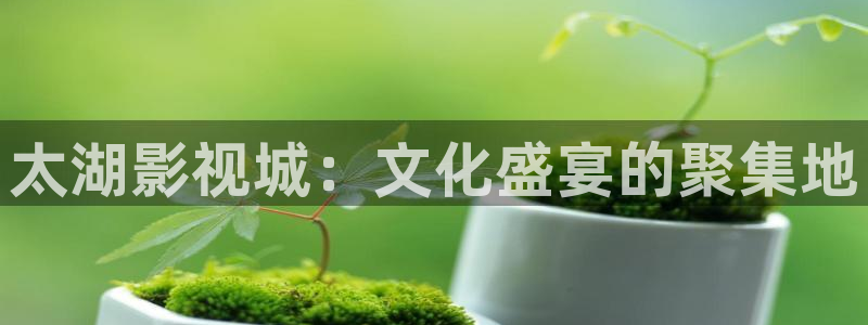 羞羞影院午夜男女爽爽网站